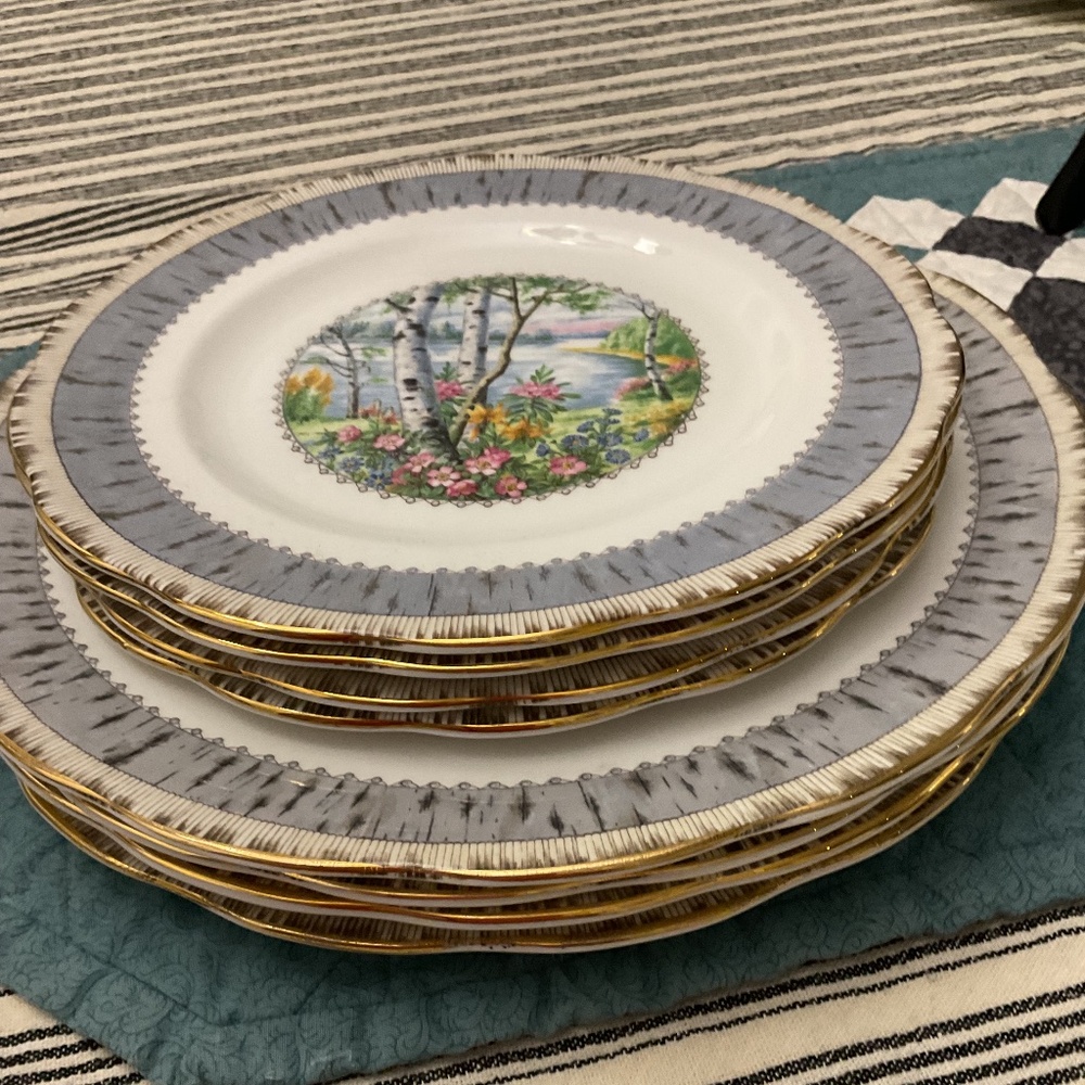Set of Silver Birch by Royal Albert Fine Bone China Dishware Gold Rimmed EUC
